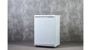 tủ đông mini